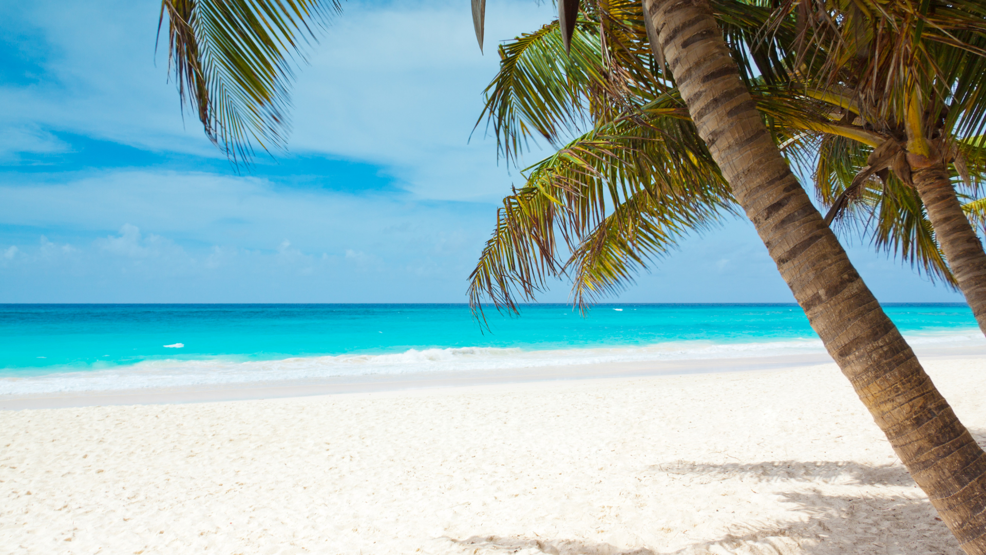 Plage de la Martinique